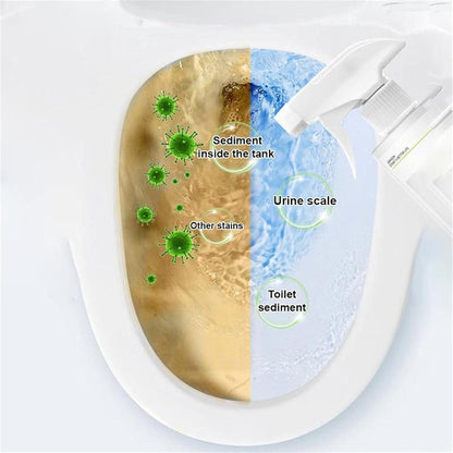 Multi-Purpose Oxalic Acid Stain Removal Spray | Buy 1 Get 1 Free